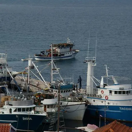 Zelencic 아파트 칼리