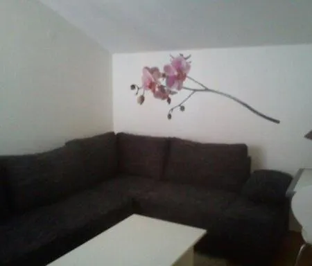 Appartement Zelencic