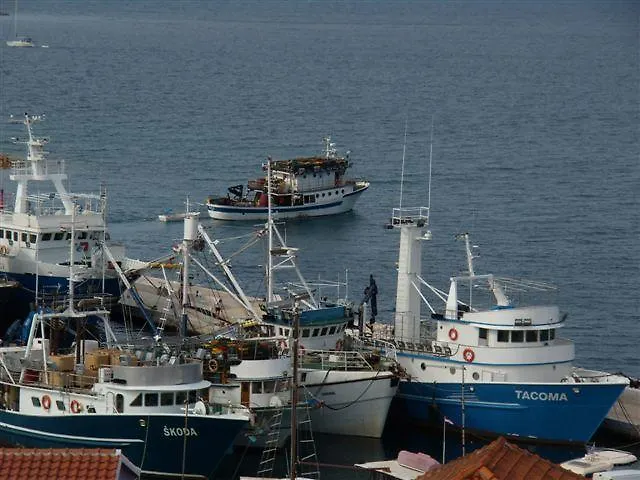 Zelencic アパート カリ